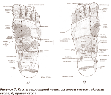 Проекция органов на стопе. Су Джок стопа схема. Проекция органов на стопе Су Джок. Су Джок левая стопа. Стопы ног по Су Джок.