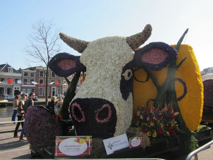 Bloemencorso_15 (700x525, 238Kb)