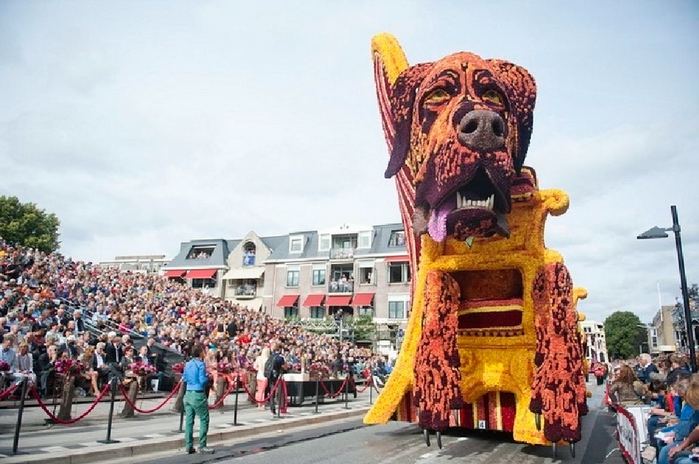 Bloemencorso_23 (700x464, 240Kb)