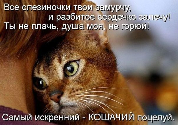 4716381_stihkotik (604x426, 63Kb)