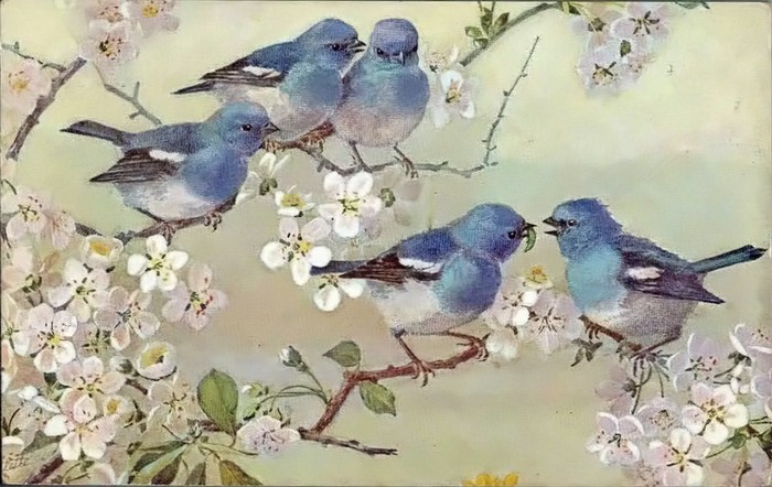1 (700x442, 96Kb)
