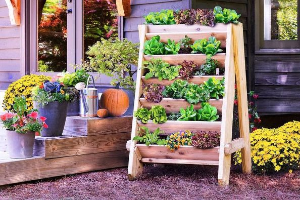 q-what-vegetables-would-grow-well-in-a-vertical-garden-container-gardening-gardening-outdoor-living (594x395, 353Kb)