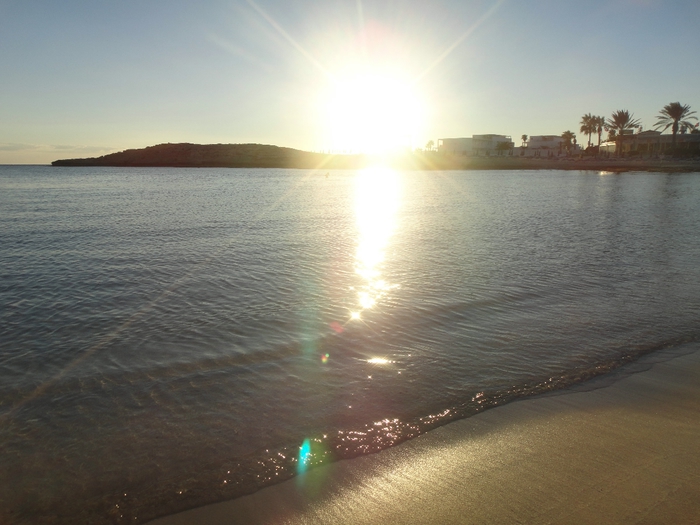 DSC01114 (700x525, 229Kb)