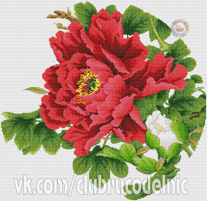 Красный цветок (700x680, 722Kb)