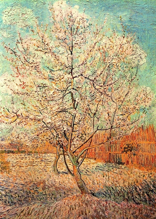 Peach-Tree-in-Blossom (499x700, 405Kb)