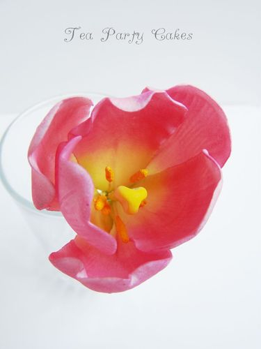 Gumpaste Tulip Tutorial21 (375x500, 74Kb)