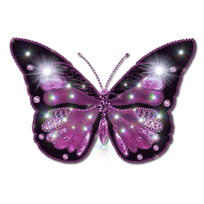 3779070_butterfly_PNG1052 (700x700, 476Kb)