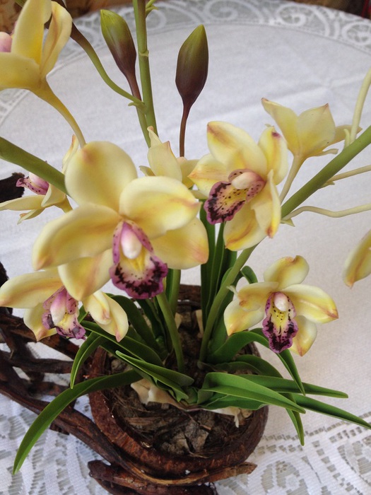 Орхидея своими руками — 95 фото как сделать красивую ветку искусственной орхидеи
