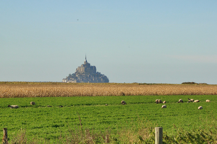 Mont-Saint-Michel-1 (700x466, 415Kb)