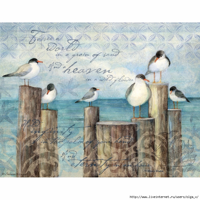 coastal-breeze-boxed-notecard-1005298 (700x700, 393Kb)