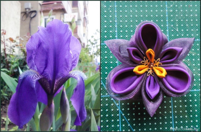 Tutorial-floare-de-iris-matase-organza-34-908x600 (700x462, 293Kb)