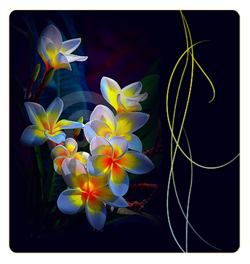 _ (250x264, 78Kb)