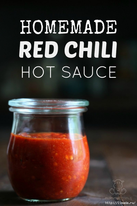 homemade-hot-sauce-recipe (466x700, 173Kb)