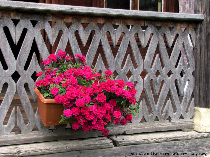 IMG_0038 (700x525, 388Kb)