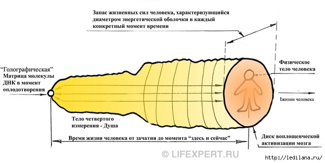 3925311_reiki_7 (650x327, 90Kb)