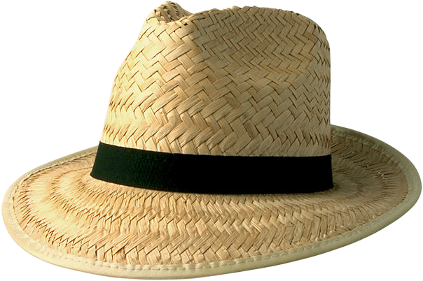 Straw hats (45) (604x402, 367Kb)