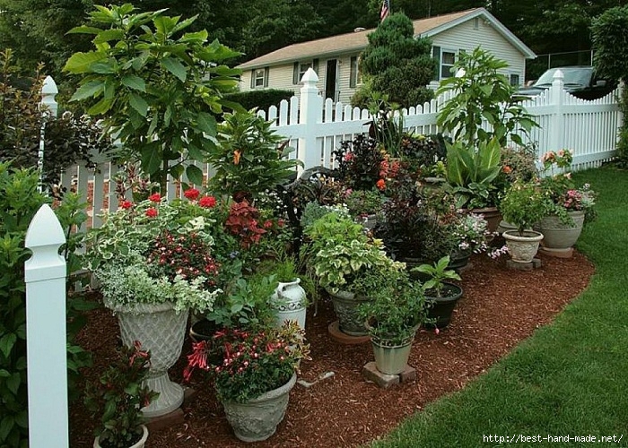 Cool-flower-pots-container-garden-ideas (700x500, 379Kb)