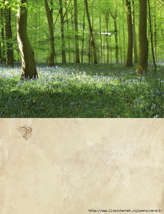 Potter Knits 13_16 (535x700, 368Kb)