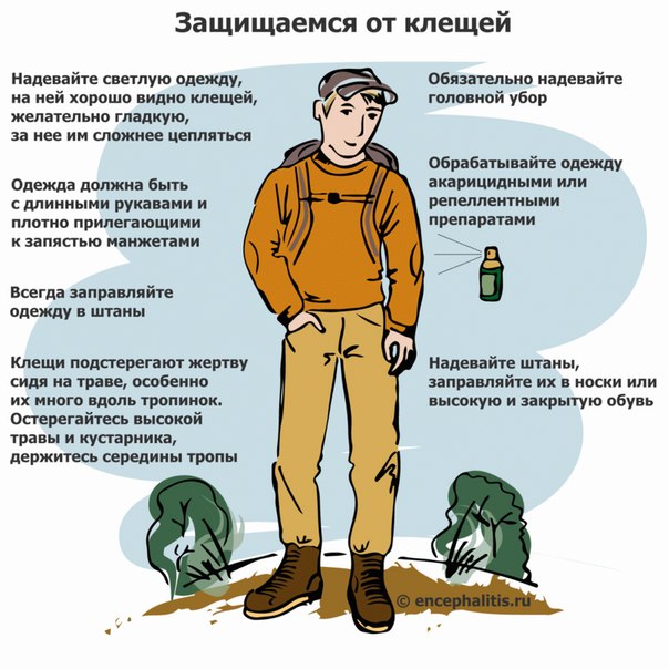 Крымская геморрагическая лихорадка презентация