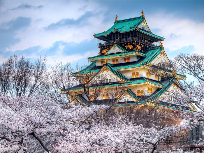 The-temple-of-the-cherry-blossom-season-in-Japan_1024x768 (700x525, 536Kb)