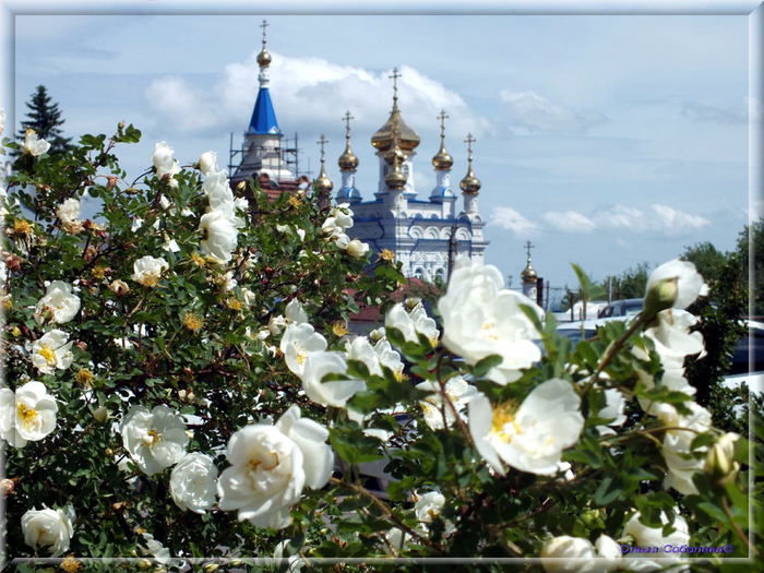 Весна в ульяновске фото