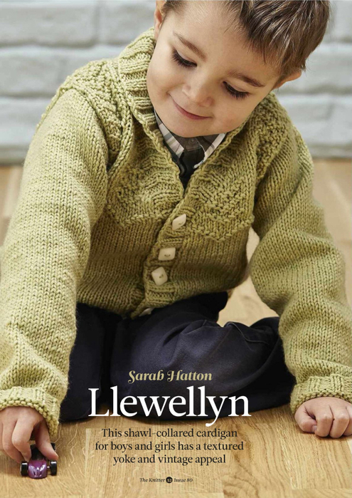 Llewellyn_kardigan2 (495x700, 382Kb)