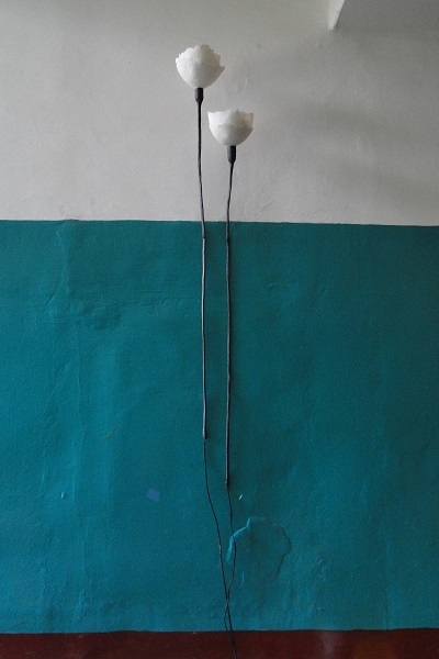 DSC01863 (400x600, 169Kb)