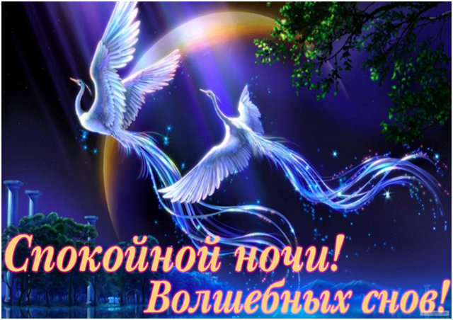 http://img1.liveinternet.ru/images/attach/c/4/123/170/123170969_43.png