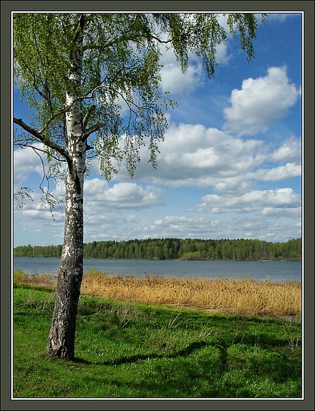 original (16) (460x600, 124Kb)