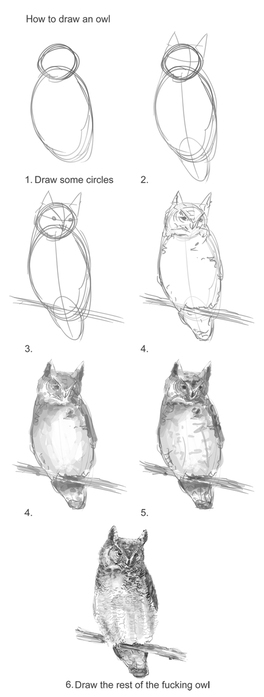81099408_howtodrawanowlmissingsteps (264x697, 62Kb)