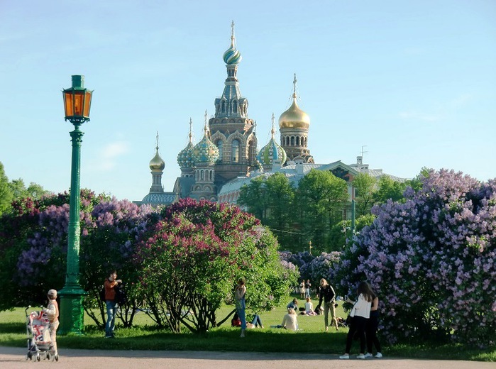 Санкт петербург в мае фото