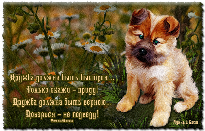 красивые картинки со стихами про дружбу рекламный слоган продающих