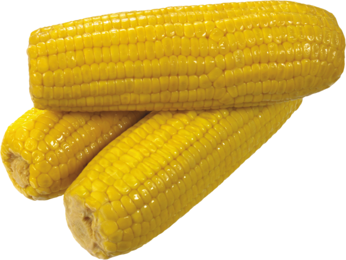 corn_PNG5265 (700x525, 398Kb)