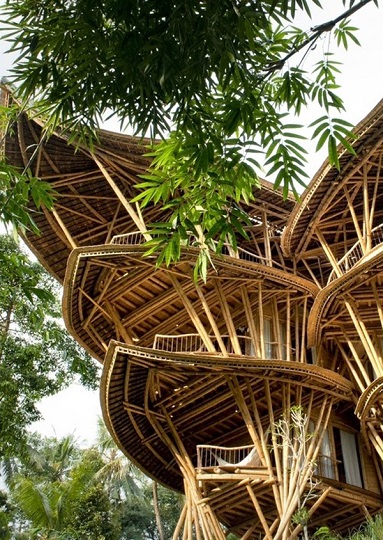 ,  !/5402287_sustainablebambootreehousedesign (383x540, 167Kb)