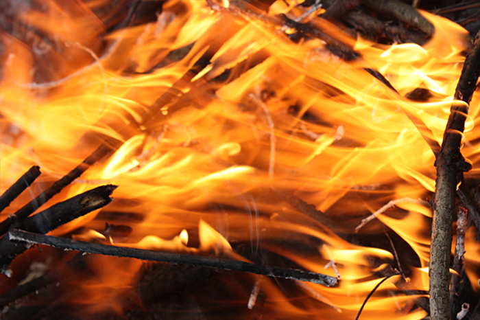 4052195_IMG_61501 (700x466, 320Kb)