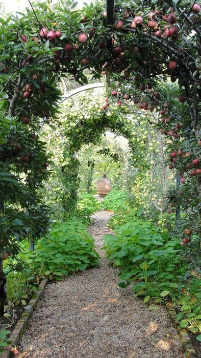   /5402287_25StunningGardenPaths_01 (394x700, 104Kb)