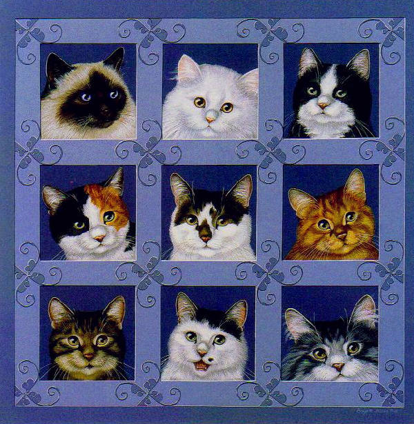 Cats 027 (600x615, 101Kb)