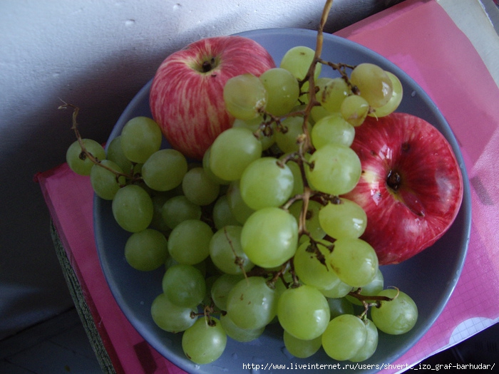 IMGP0368 (700x525, 234Kb)