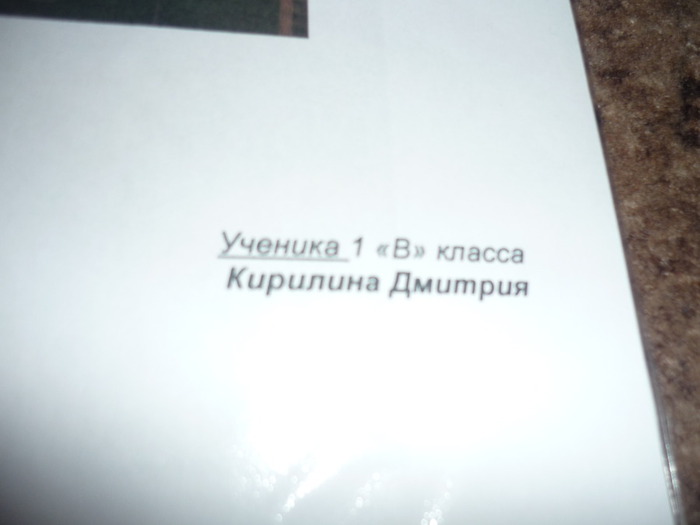 P1110053 (700x525, 38Kb)