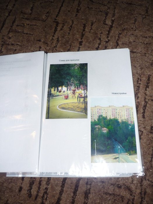 P1110047 (525x700, 101Kb)