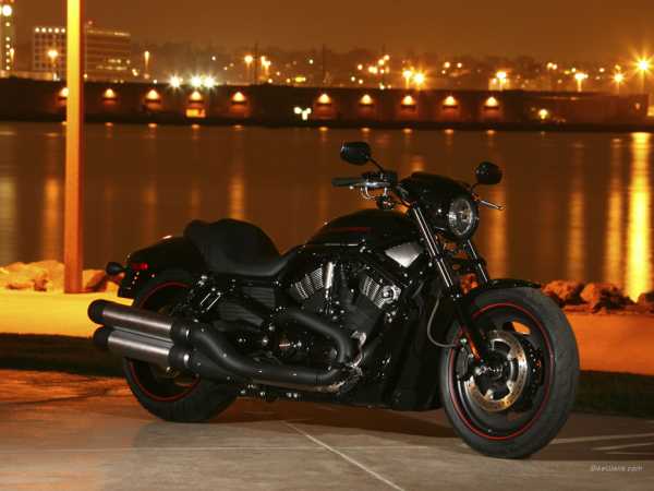 1237309304_harley-davidson_vrscdx_v (600x450, 25Kb)