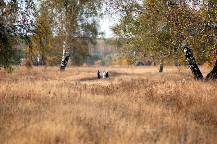 3392780_DSC_9556 (700x465, 189Kb)