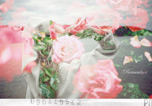 8guyw (500x350, 281Kb)