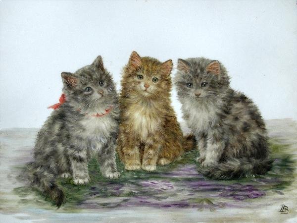 Three Kittens (600x450, 53Kb)