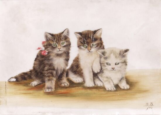 Three kittens 2 (550x393, 26Kb)