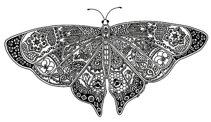 Butterfly (2) (700x405, 104Kb)
