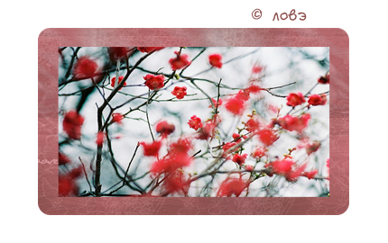 1746828_3 (430x270, 165Kb)