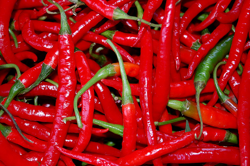 Chili_pepper (500x333, 175Kb)