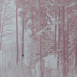 1746828_avataraa (150x150, 50Kb)