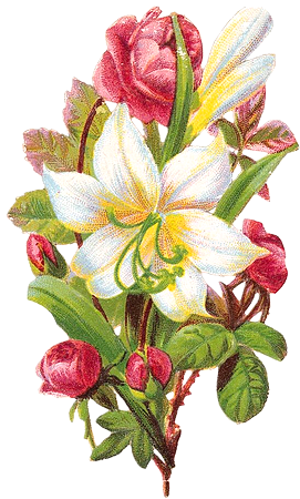 cajoline_vintageflowers3_9 (271x450, 227Kb)